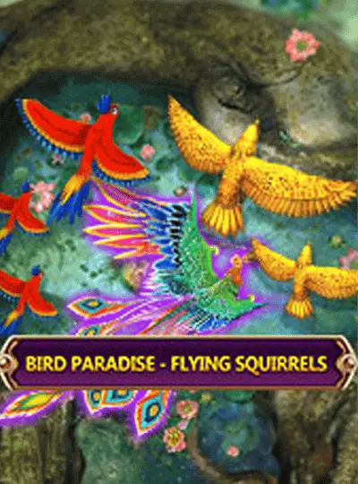 bd8522bet পাখির স্বর্গ